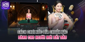 Cách Chơi Xóc Đĩa Chuẩn Xác Dành Cho Người Mới Bắt Đầu