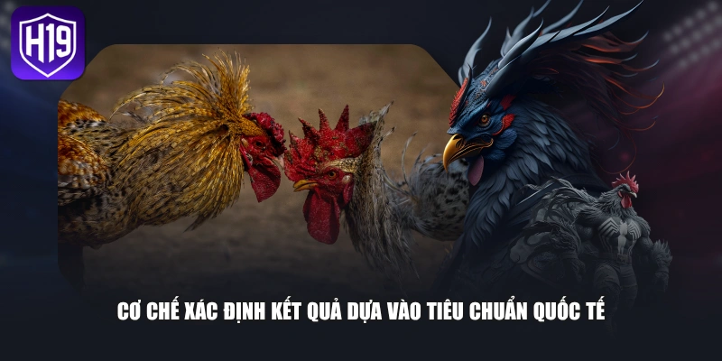 Cơ chế xác định kết quả dựa vào tiêu chuẩn quốc tế