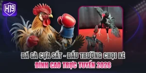 Đá Gà Cựa Sắt - Đấu Trường Chọi Kê Đỉnh Cao Trực Tuyến 2026