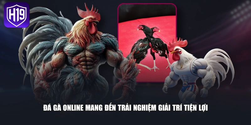 Đá gà online mang đến trải nghiệm giải trí tiện lợi